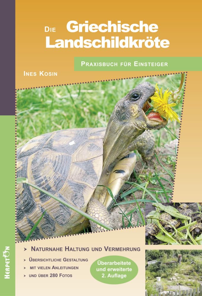 Die Griechische Landschildkröte Pets
