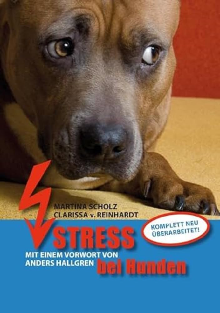 Stress bei Hunden Pets