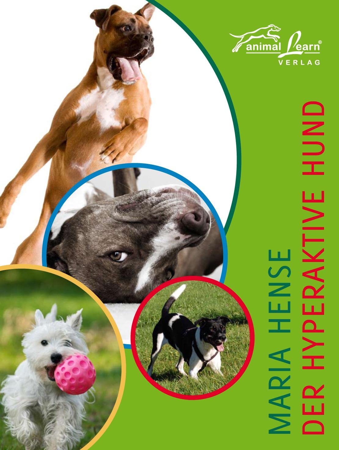 Der hyperaktive Hund Pets