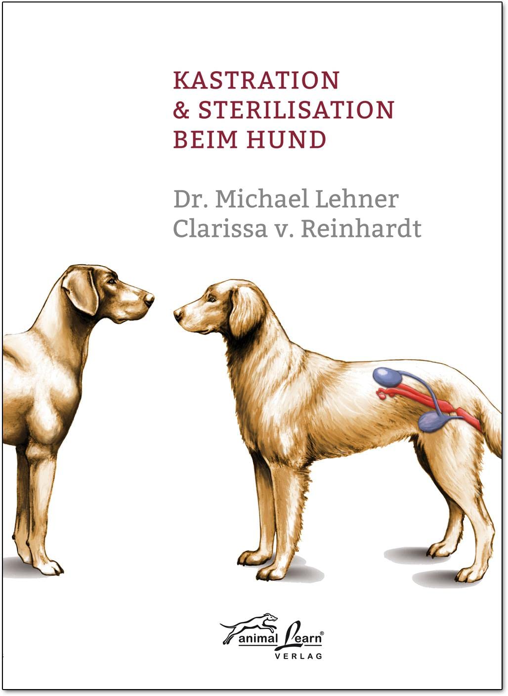 Kastration & Sterilisation beim Hund Pets