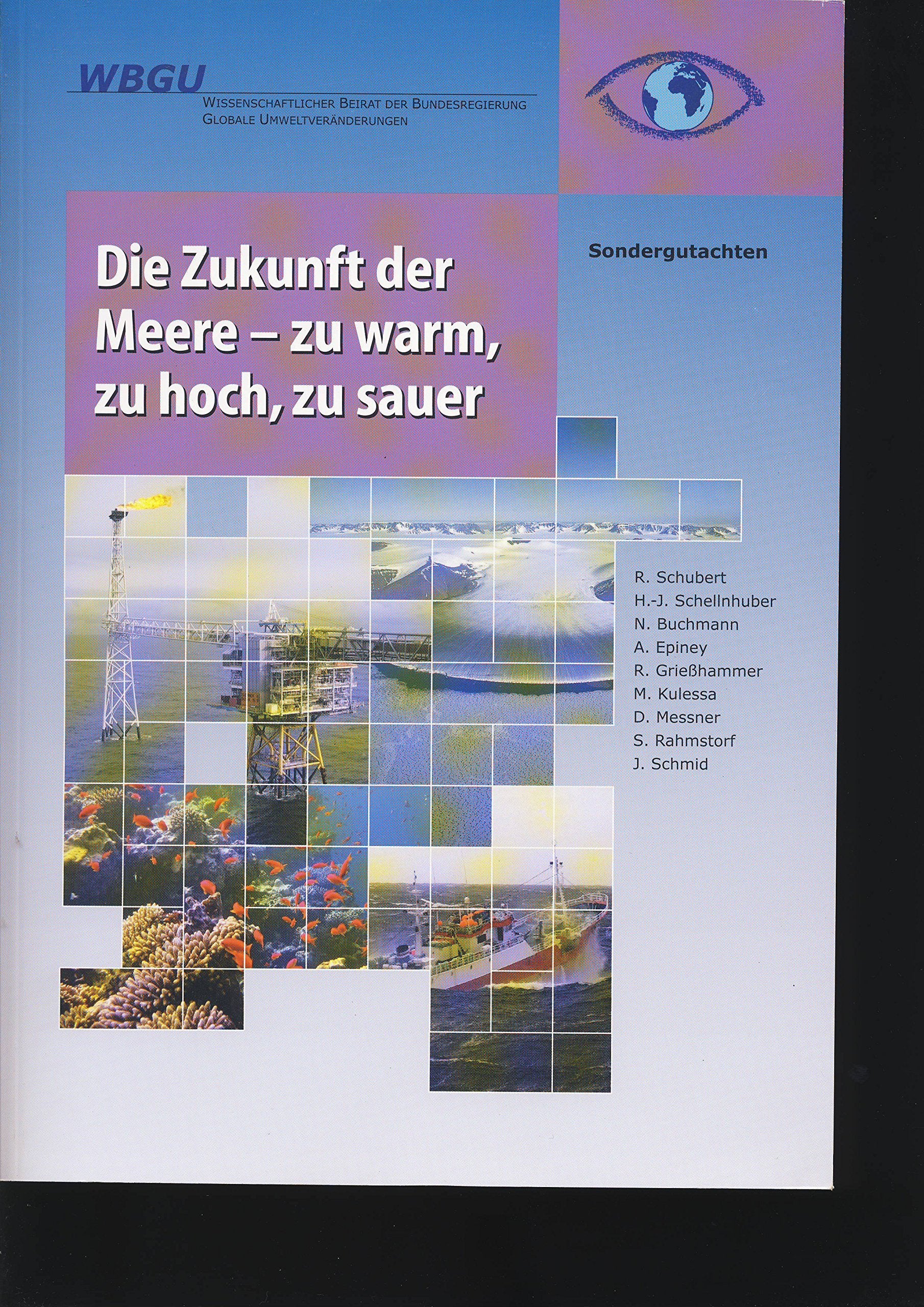 Die Zukunft der Meere – zu warm, zu hoch, zu sauer: Sondergutachten Business & Technology