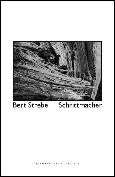 Schrittmacher: Zwölf Geschichten Contemporary literature