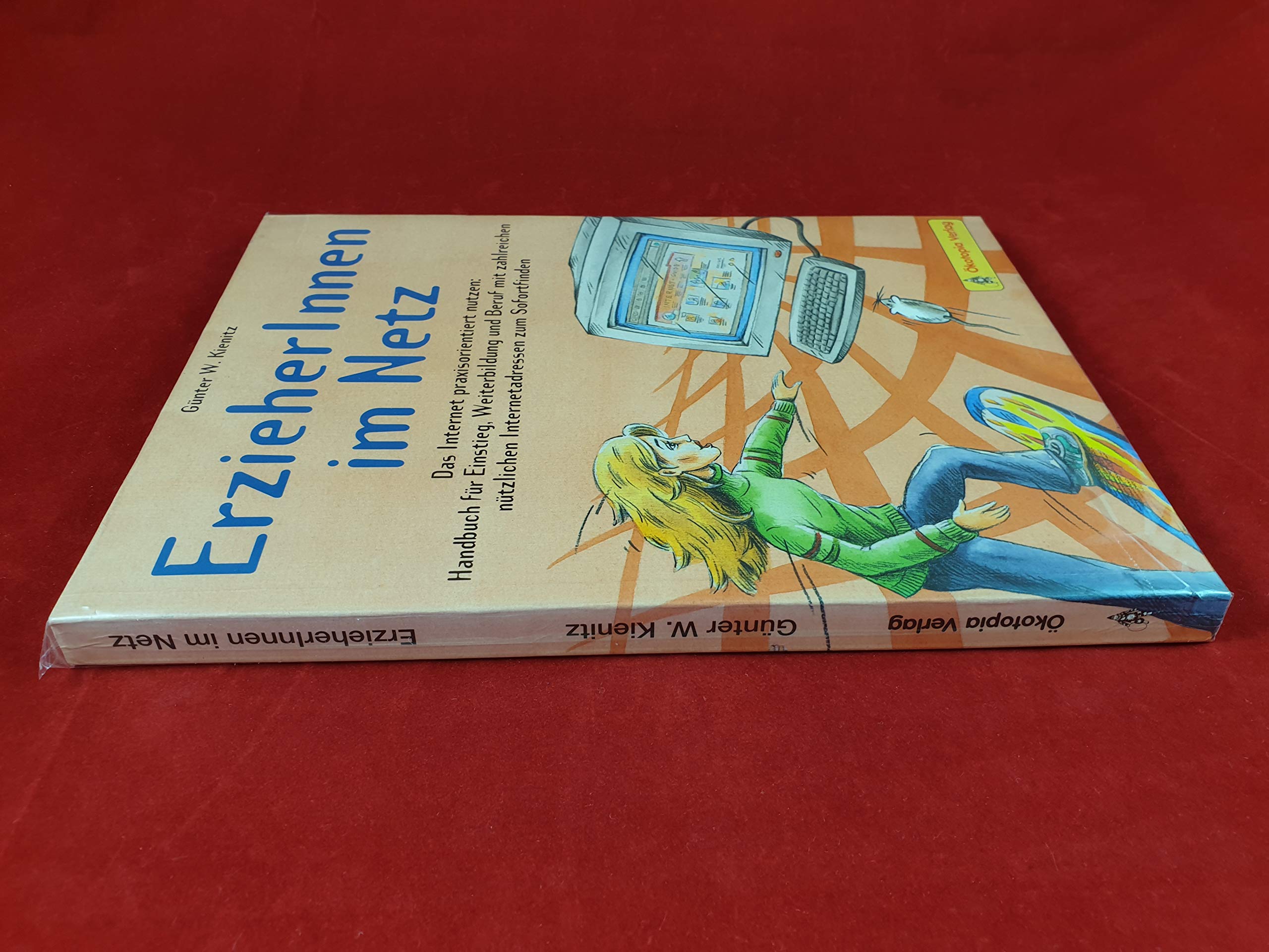 ErzieherInnen im Netz: Das Internet praxisorientiert nutzen: Handbuch für Einstieg, Weiterbildung und Beruf mit zahlreichen nützlichen ... (Praxisbücher für den pädagogischen Alltag) Books