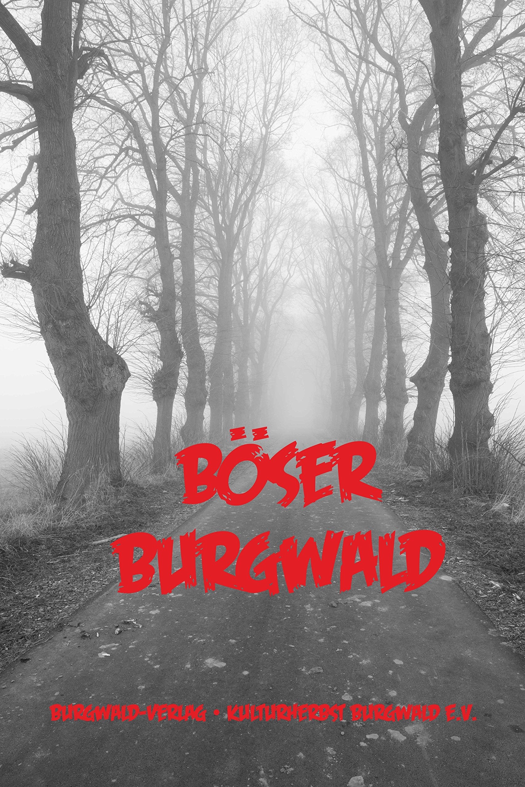 Böser Burgwald: Krimi-Kurzgeschichten aus dem Burgwald Contemporary literature Books