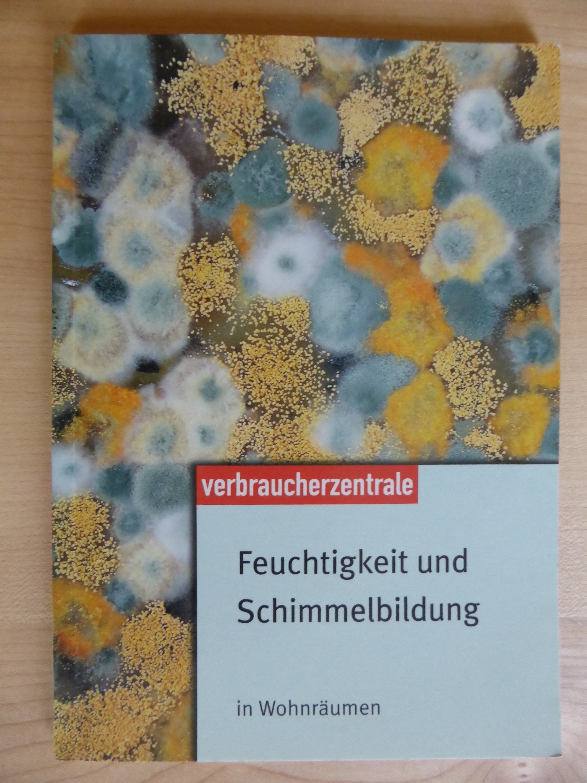 Feuchtigkeit und Schimmelbildung in Wohnräumen book