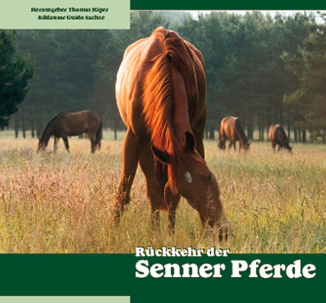 Rückkehr der Senner Pferde: Die älteste deutsche Pferderasse kommt in ihre Heimat zurück Leisure, Home & Garden