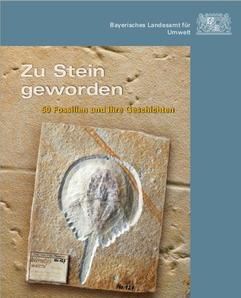Zu Stein geworden: 50 Fossilien und ihre Geschichten Business & Technology
