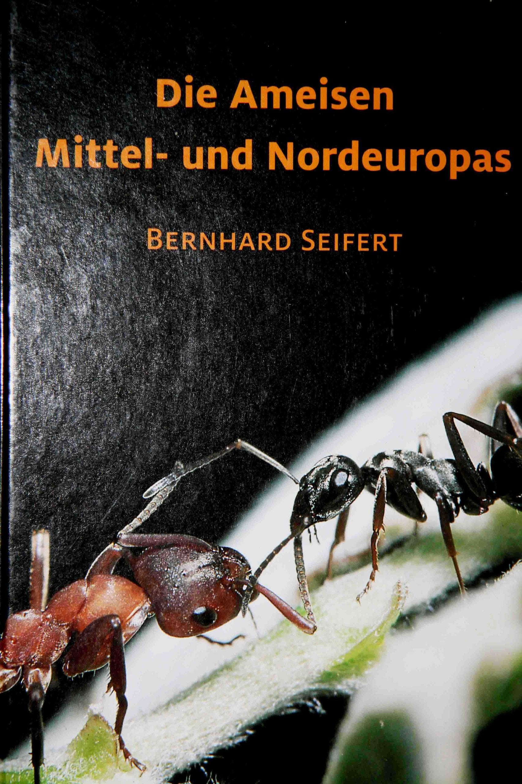 Die Ameisen Mittel- und Nordeuropas Natural Sciences