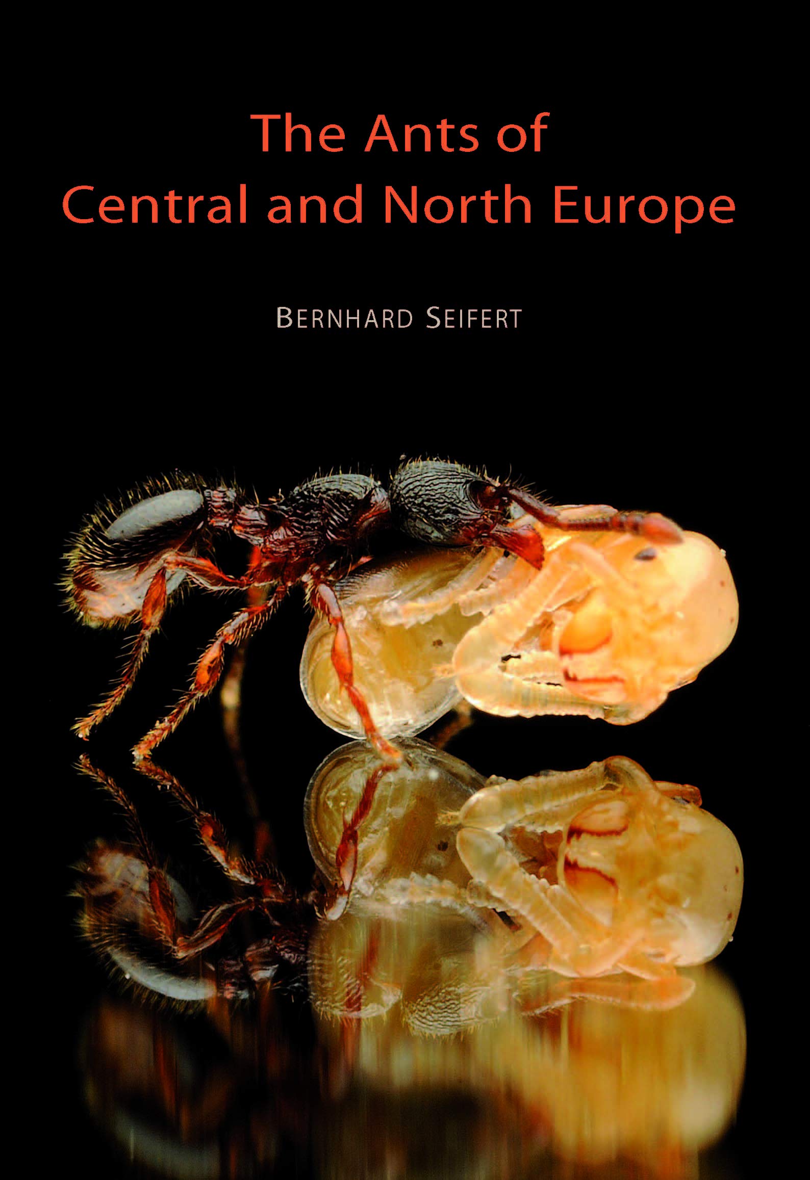 The Ants of Central and North Europe Natural Sciences