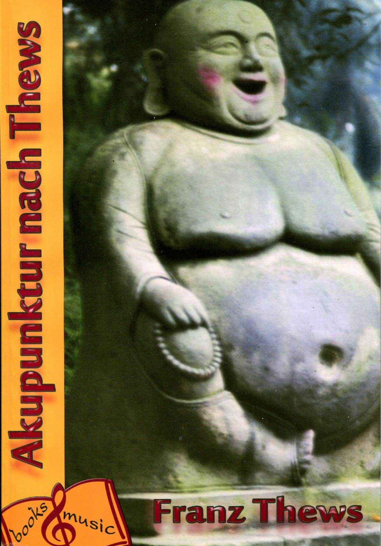 Akupunktur nach Thews: Traditionelle Chinesische Medizin Medicine