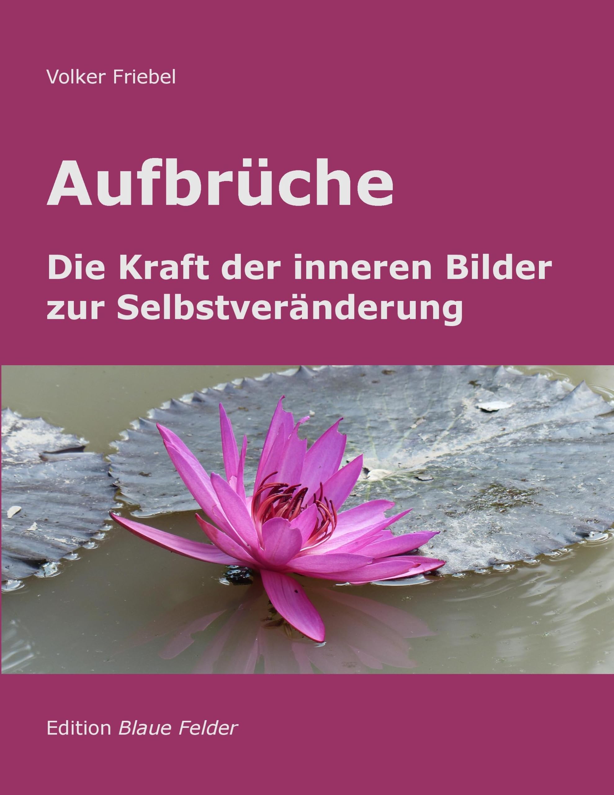 Aufbrüche - Die Kraft der inneren Bilder zur Selbstveränderung Religion & Esotericism