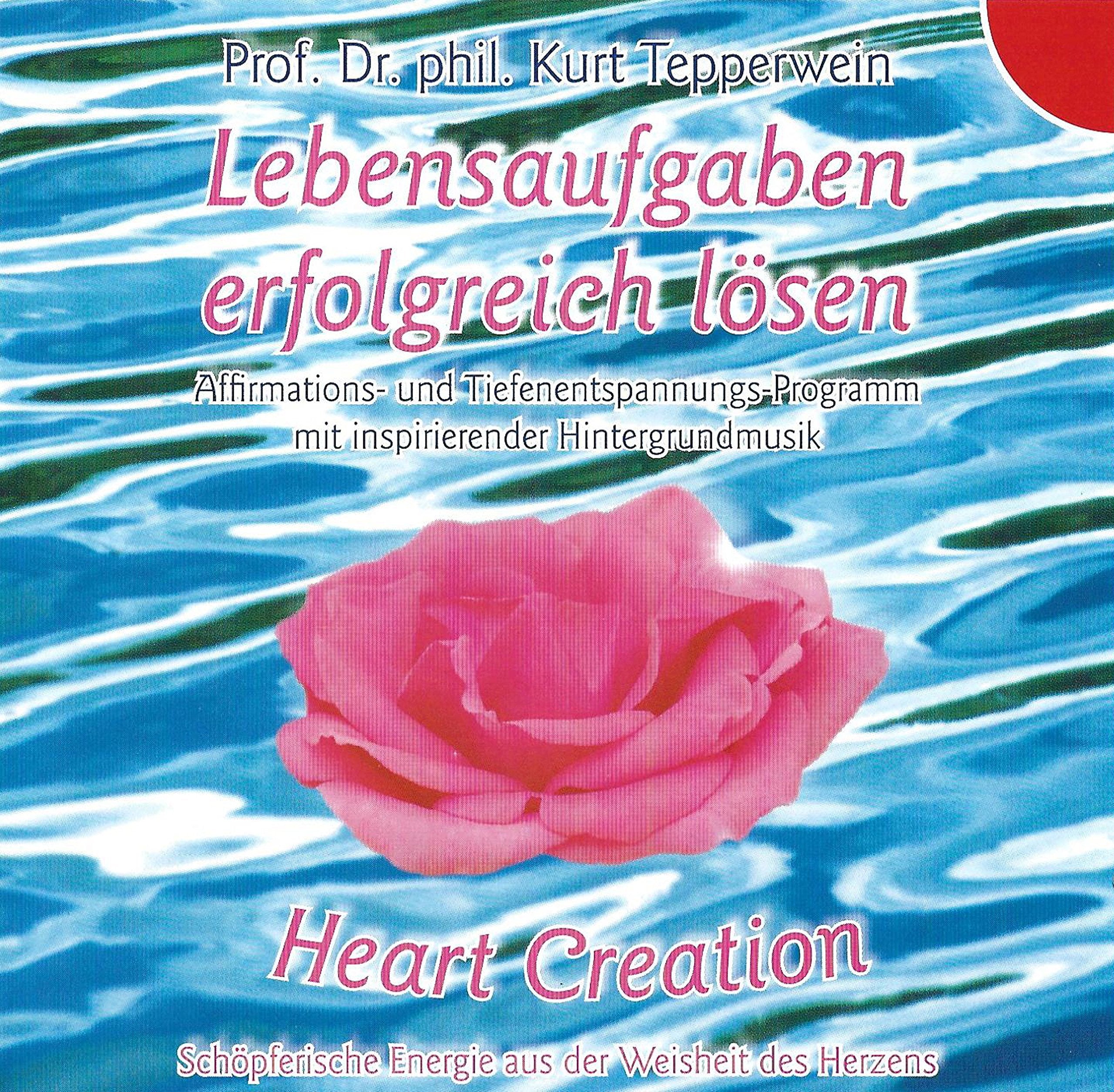 Lebensaufgaben erfolgreich lösen Religion & Esotericism