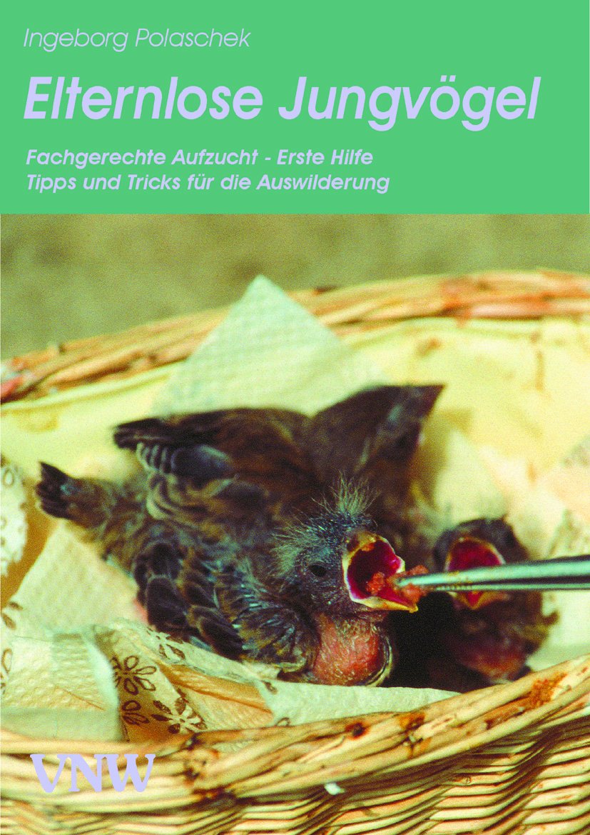 Elternlose Jungvögel: Fachgerechte Aufzucht - Erste Hilfe - Tipps und Tricks bei der Auswilderung Natural Sciences