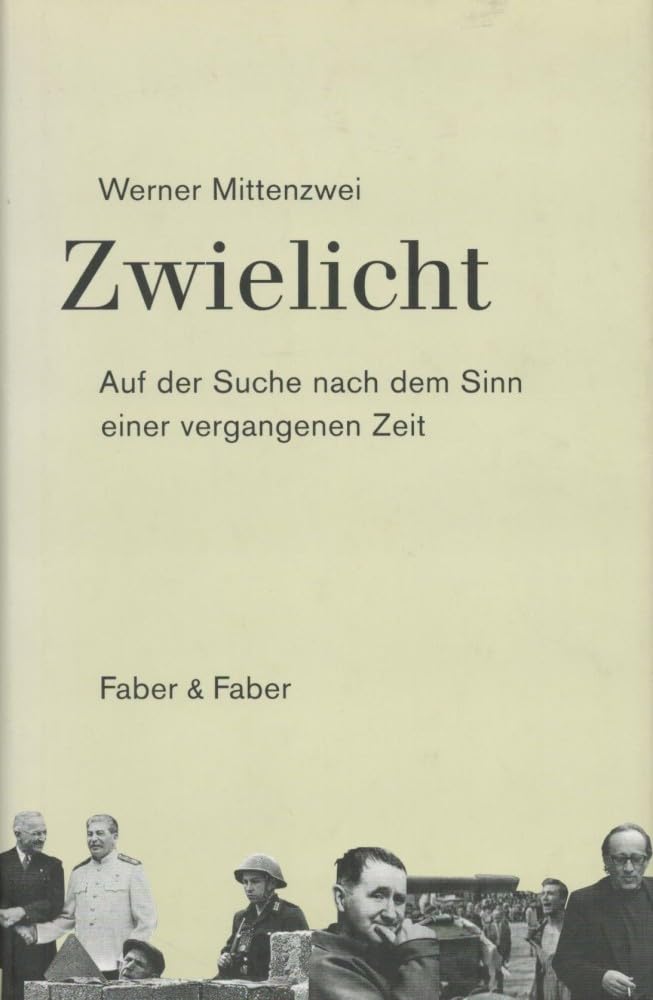 Zwielicht: Auf der Suche nach dem Sinn einer vergangenen Zeit - Eine kulturkritische Autobiographie Pop culture