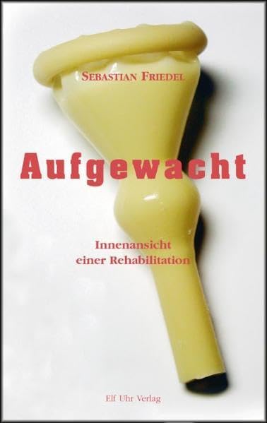 Aufgewacht: Innenansicht einer Rehabilitation Contemporary literature