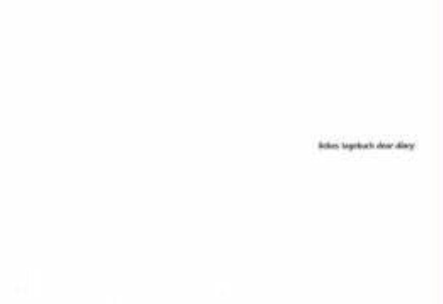 Liebes Tagebuch, m.CD-ROM. Dear Diary: Dtsch.-Engl. Architecture Books