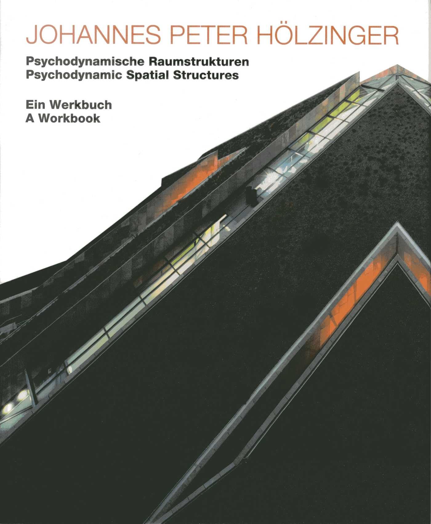 Johannes Peter Hölzinger book
