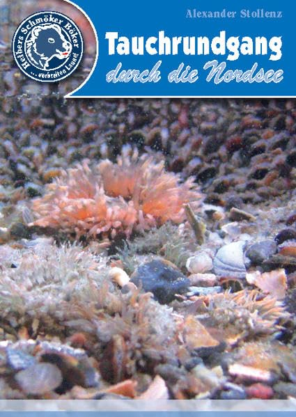 Tauchrundgang durch die Nordsee (Heibers Schmöker Böker) Natural Sciences