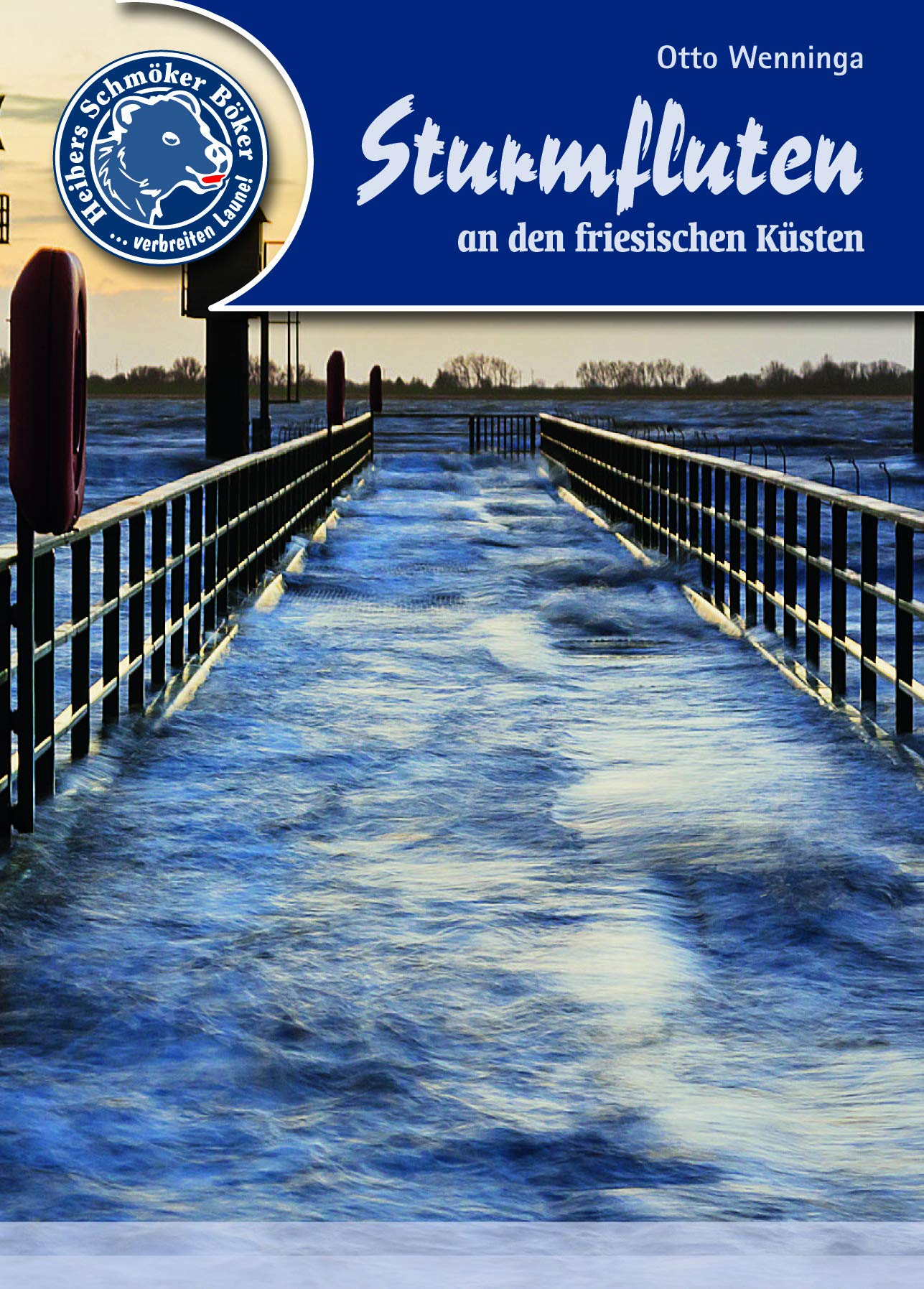 Sturmfluten an den friesischen Küsten (Heibers Schmöker Böker) Mathematics