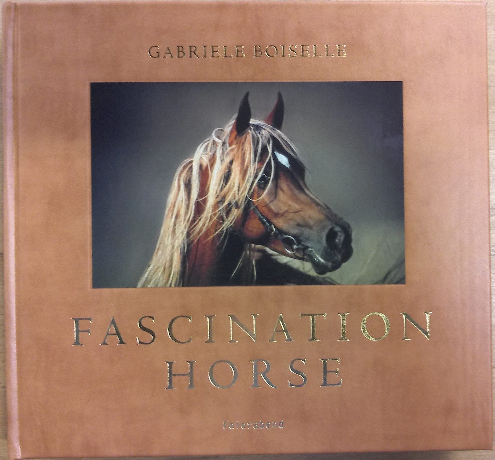 Fascination Horse book