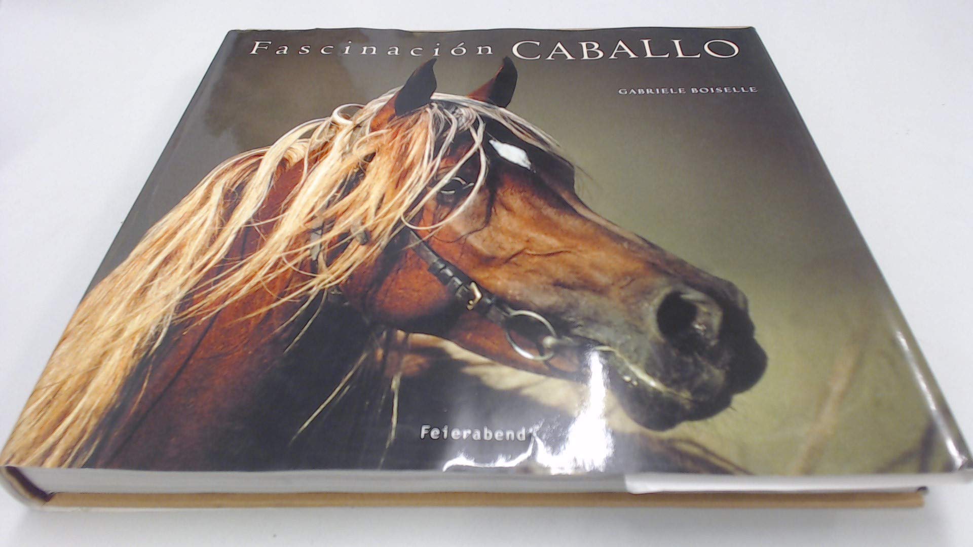 Fascinacion Caballo book