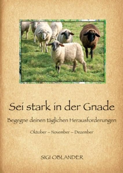 Sei stark in der Gnade - Begegne deinen täglichen Herausforderungen: Oktober - November - Dezember Band 4 der Andachtsreihe Religion & Esotericism