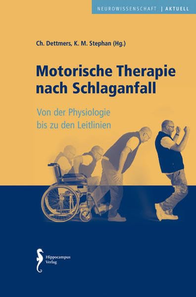 Motorische Therapie nach Schlaganfall: von der Physiologie bis zu den Leitlinien Medicine