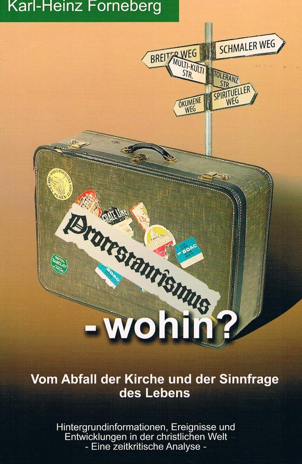 Protestantismus - wohin?: Von Abfall der Kirche und der Sinnfrage des Lebens Contemporary literature
