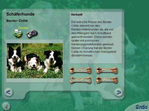 Das große 1x1 der Hunde Other software