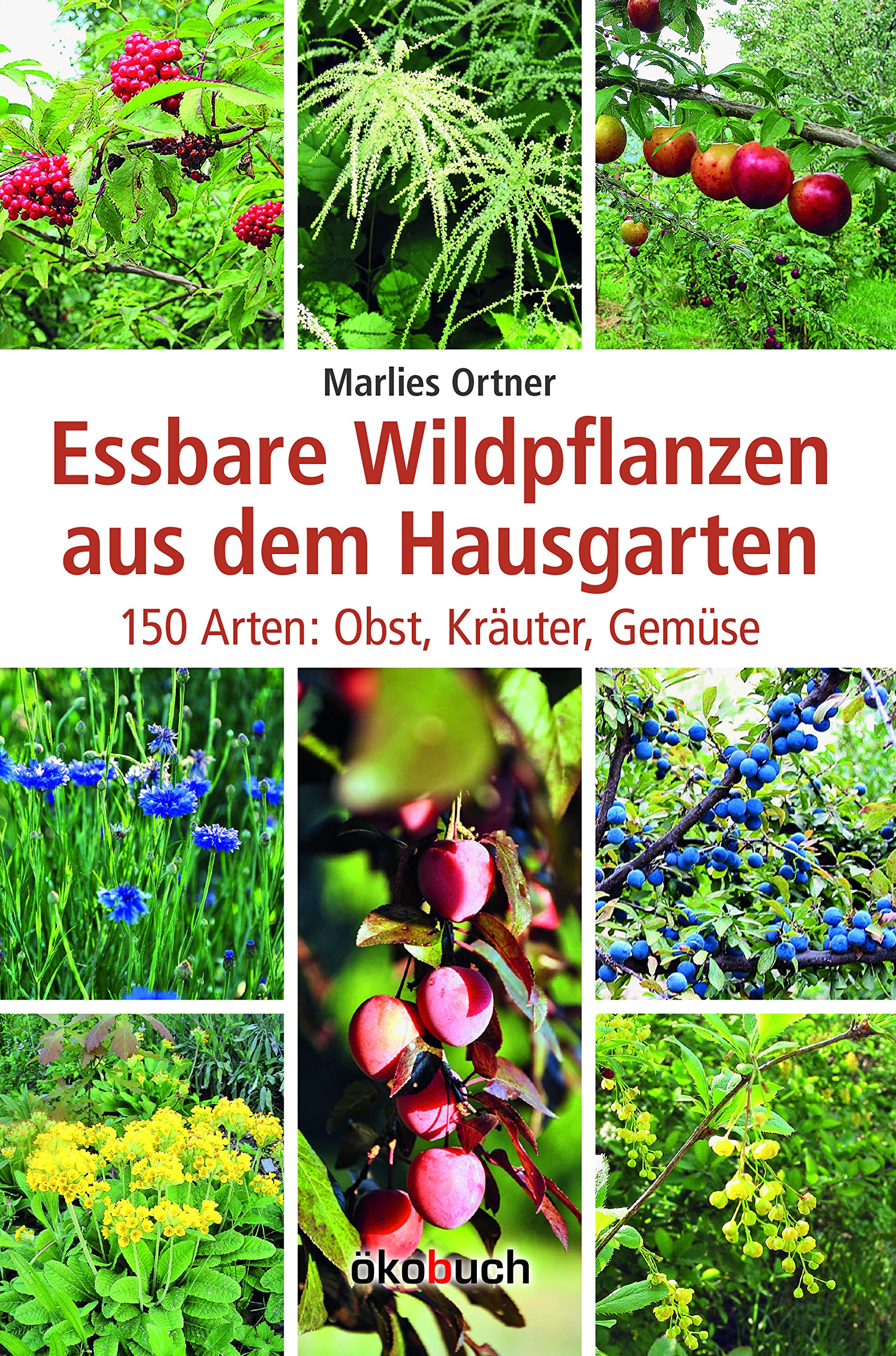 Essbare Wildpflanzen aus dem Hausgarten Garden & Plants
