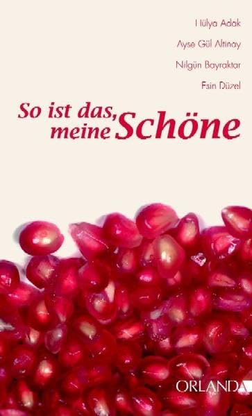 So ist das, meine Schöne: Türkische Frauen erzählen von Frausein, Begehren und Liebe Politics & Society Books