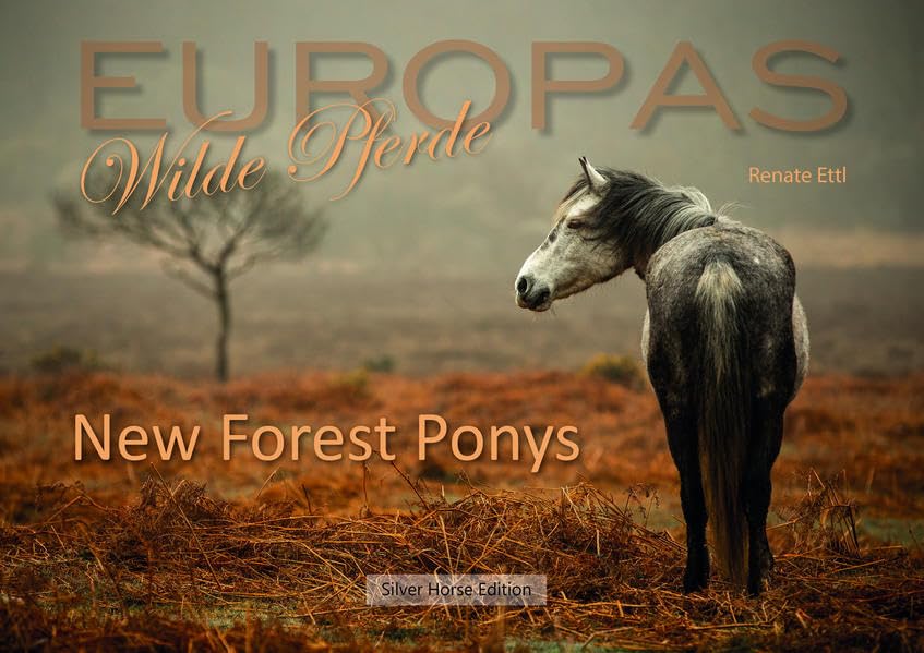New Forest Ponys: Europas Wilde Pferde Contemporary literature