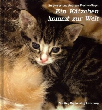 Product Image: Ein Kätzchen kommt zur Welt