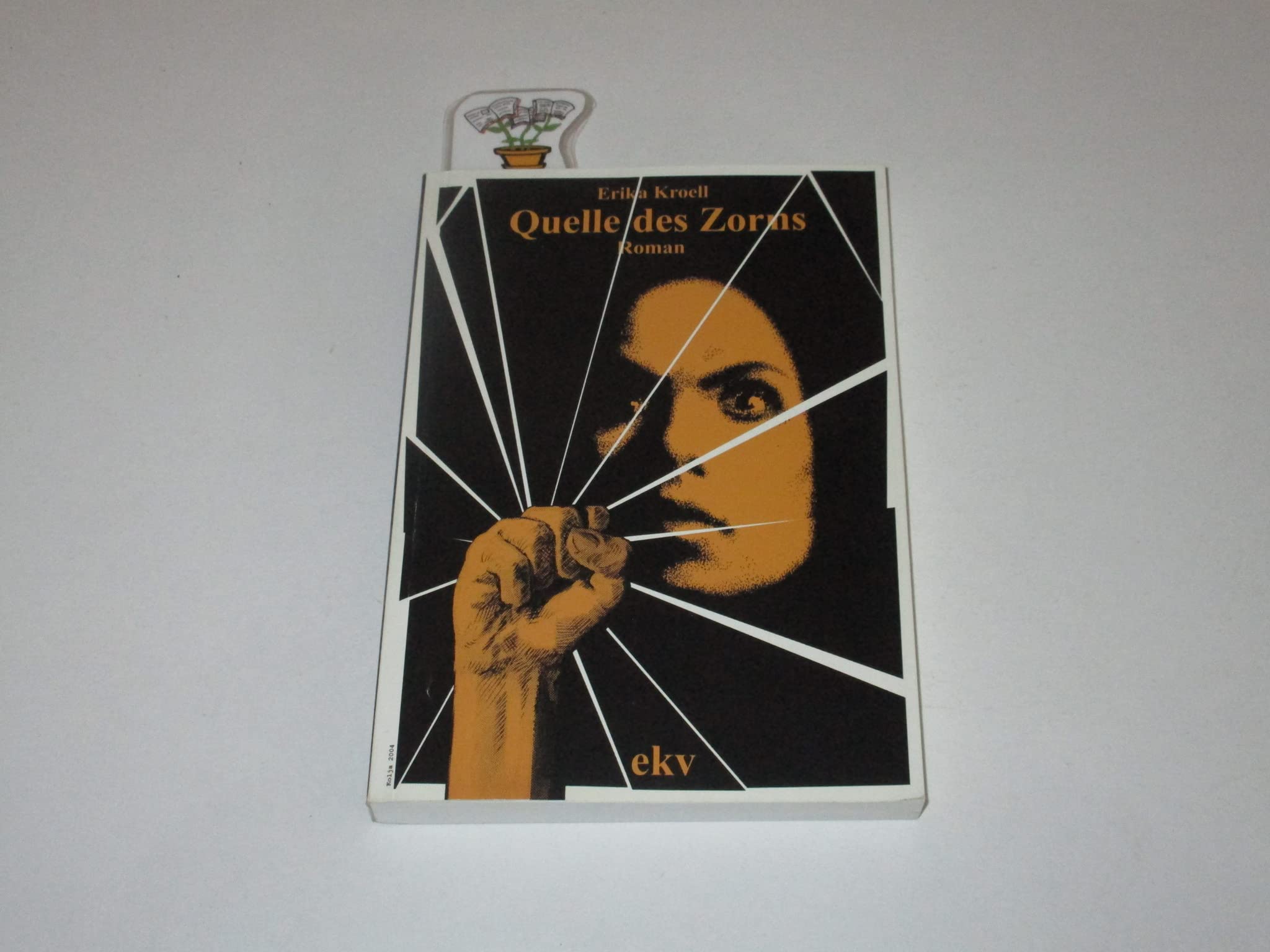 Quelle des Zorns: Kriminalroman Contemporary literature