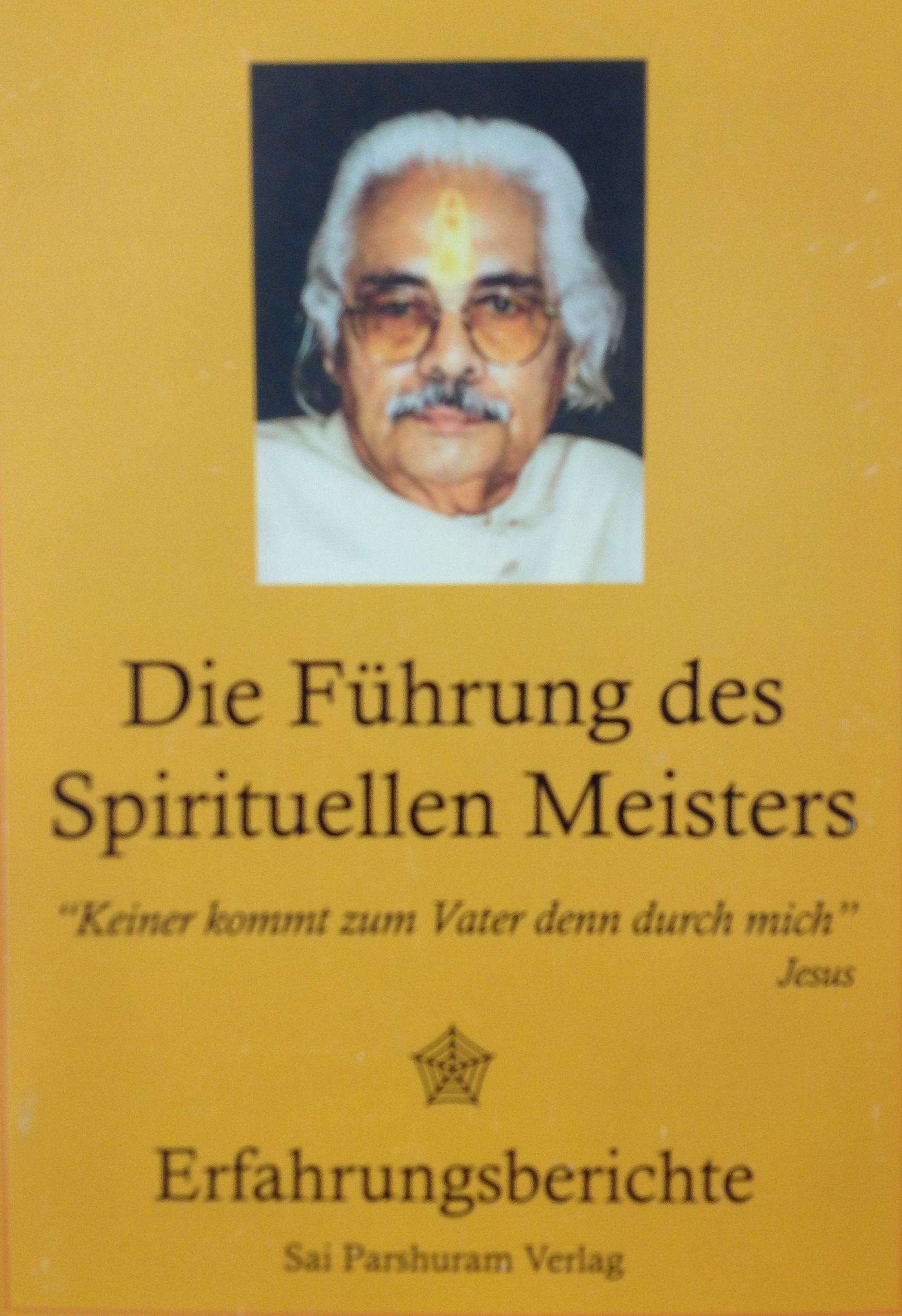 Die Führung des spirituellen Meisters: Erfahrungsberichte Religion & Esotericism