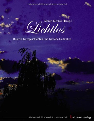 Lichtlos: Düstere Geschichten und lyrische Gedanken Contemporary literature