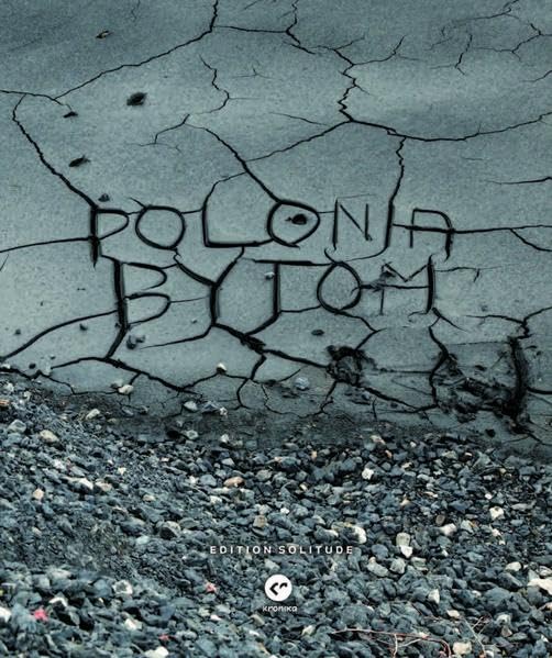 Polonia Bytom (Reihe Projektiv) Film, Art & Culture