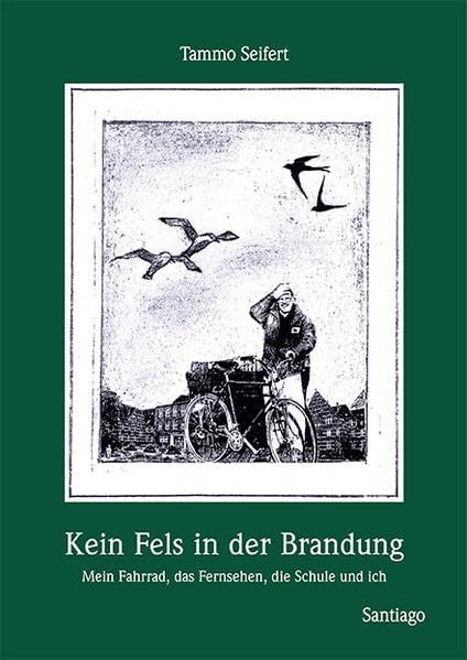 KEIN FELS IN DER BRANDUNG: Mein Fahrrad, das Fernsehen, die Schule und ich - Seifert, Tammo book