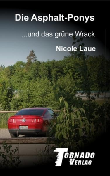 Die Asphalt-Ponys und das grüne Wrack Action & Adventure
