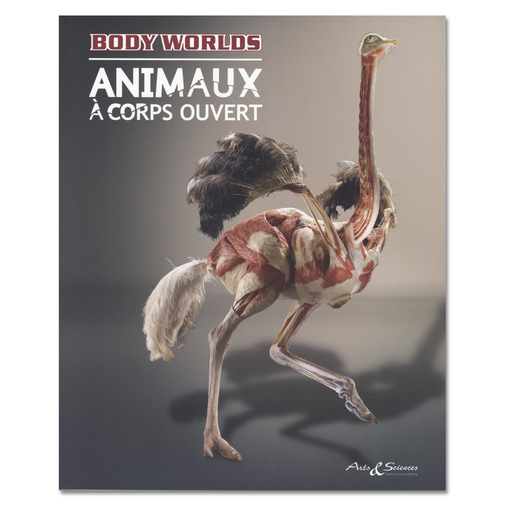Body Worlds - Animaux À Corps Ouvert (French) Medicine