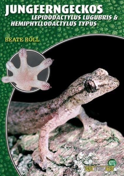 Jungferngeckos. Lepidodactylus lugubris und Hemiphyllodactylus typus: Lepidodactylus lugubris & Hemiphyllodactylus typus (Buchreihe Art für Art Terraristik) Pets