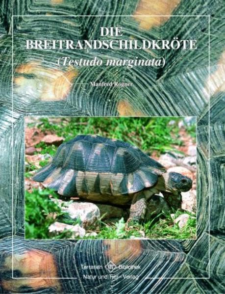 Breitrandschildkröte Pets