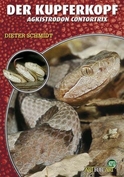 Der Kupferkopf: Agkistrodon contortrix Pets