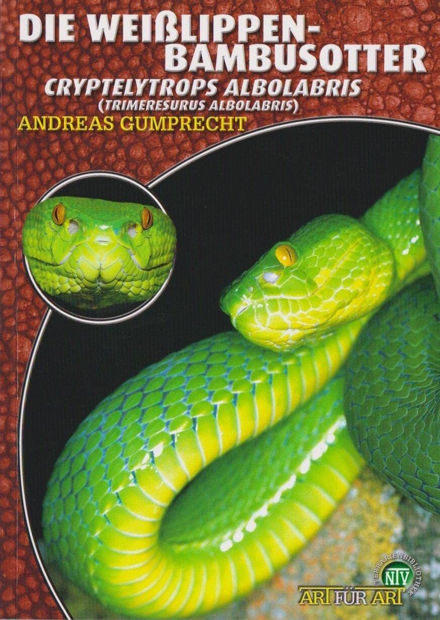 Die Weißlippen-Bambusotter: Cryptelytrops albolabris (Trimeresurus albolabris) Pets