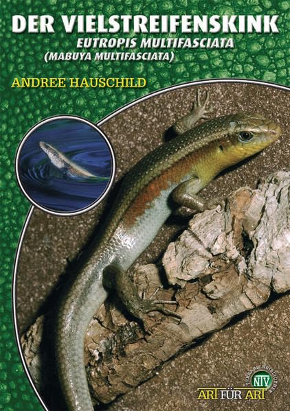 Der Vielstreifenskink Pets