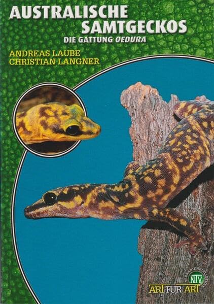 Australische Samtgeckos: Die Gattung Oedura (Buchreihe Art für Art Terraristik) Pets