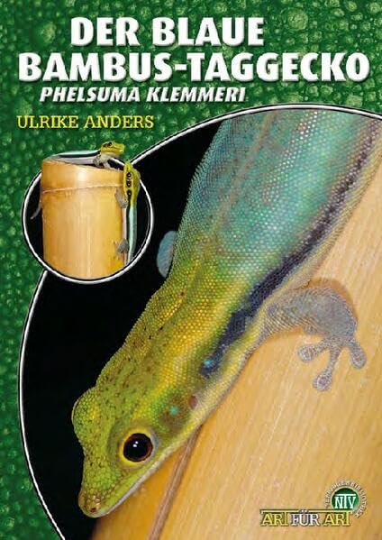Der Blaue Bambus-Taggecko: Phelsuma klemmeri (Buchreihe Art für Art Terraristik) Pets