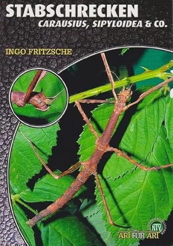 Stabschrecken: Carausius, Sipyloidea & Co. (Buchreihe Art für Art Terraristik) Pets