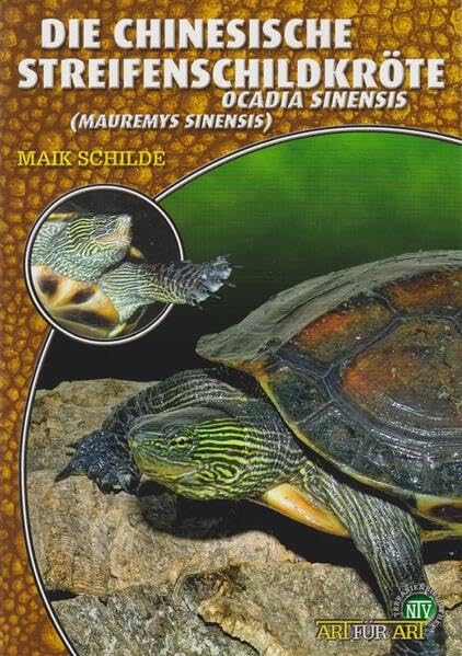 Die Chinesische Streifenschildkröte Pets
