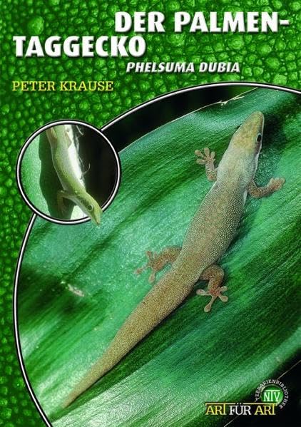 Der Palmen-Taggecko: Phelsuma dubia (Buchreihe Art für Art Terraristik) Pets